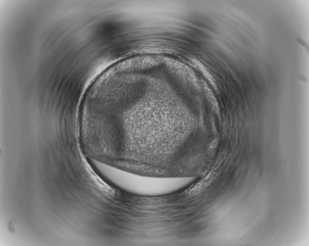 X0000094960795200712201159