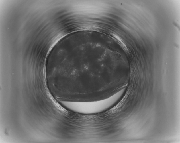 X0000094960796200712201159