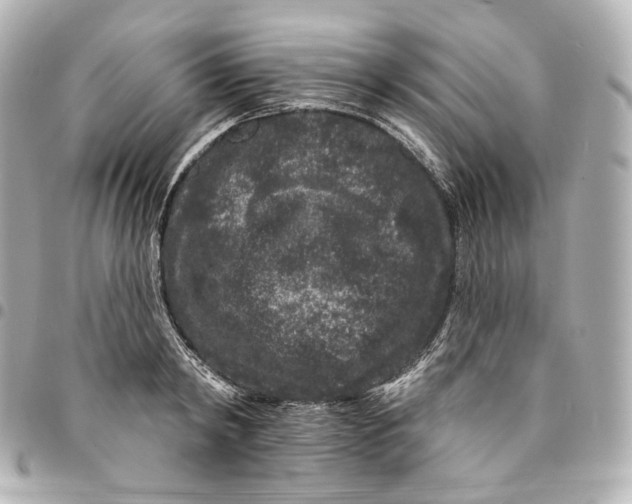 X0000094960798200712201159