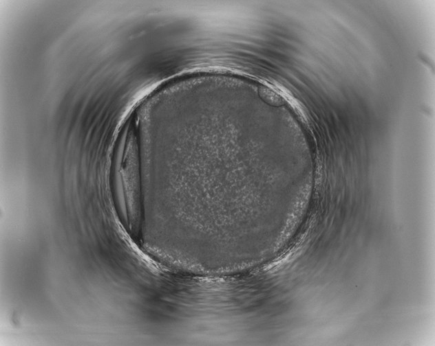 X0000094960799200712201159