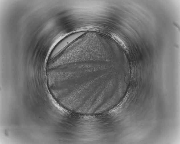 X0000094960800200712201159