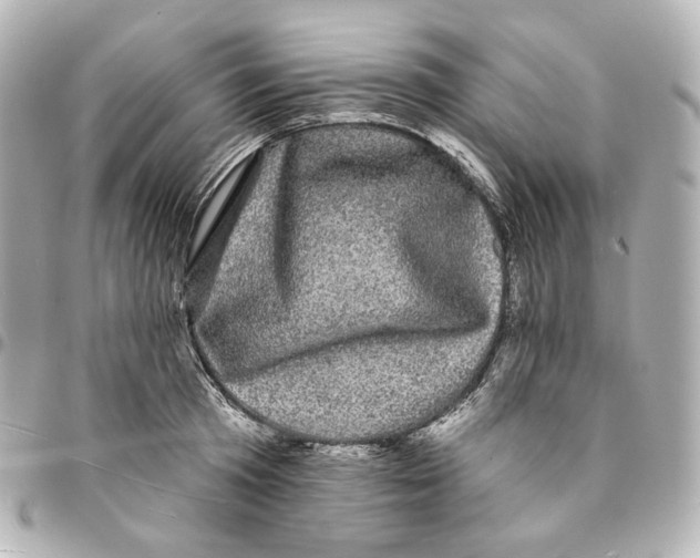 X0000094960801200712201159