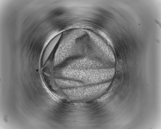 X0000094960803200712201159