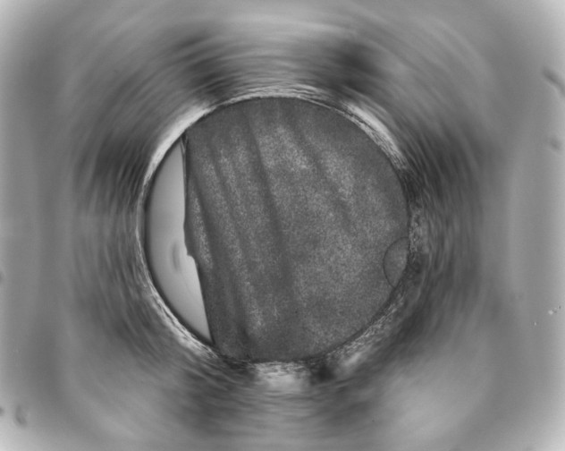 X0000094960804200712201159