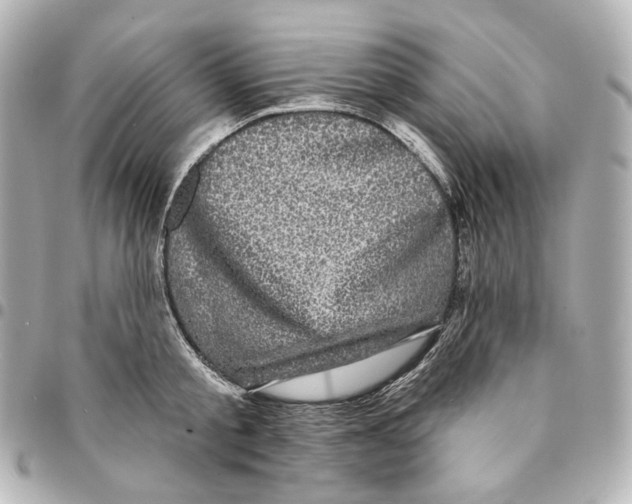 X0000094960805200712201159