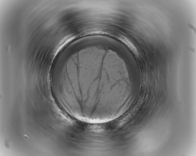 X0000094960806200712201159