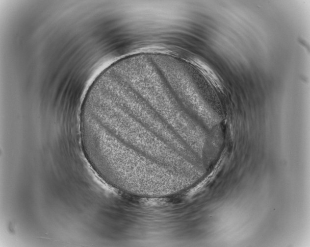 X0000094960808200712201159