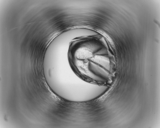 X0000094960809200712201159