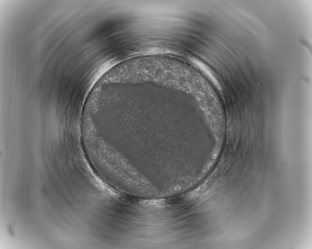 X0000094960810200712201159