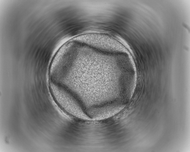 X0000094960811200712201159