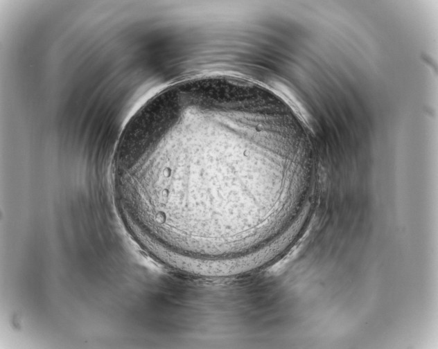 X0000094960814200712201159