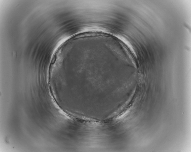 X0000094960815200712201159