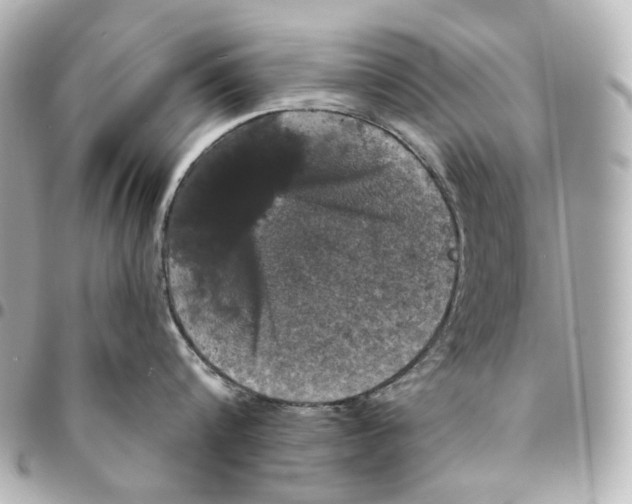 X0000094960816200712201159