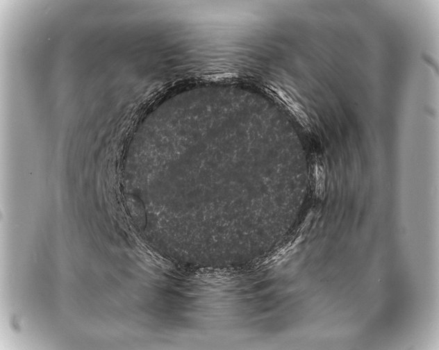 X0000094960817200712201158