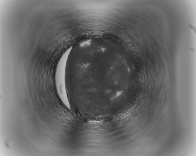 X0000094960818200712201158