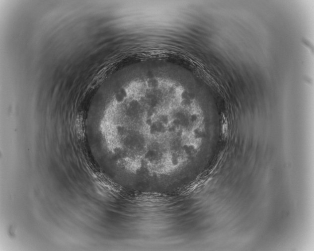 X0000094960819200712201158