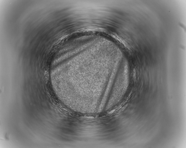 X0000094960821200712201158