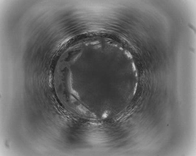 X0000094960822200712201158