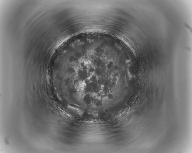 X0000094960823200712201158