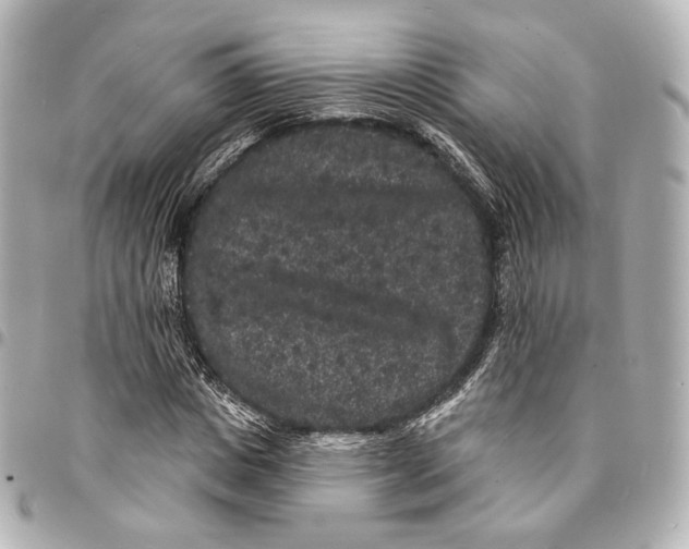 X0000094960825200712201158