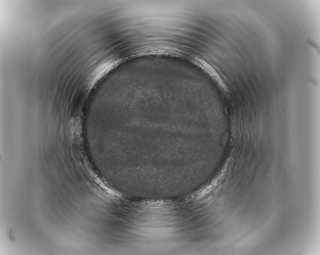 X0000094960826200712201158