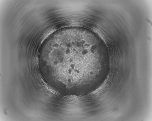 X0000094960827200712201158