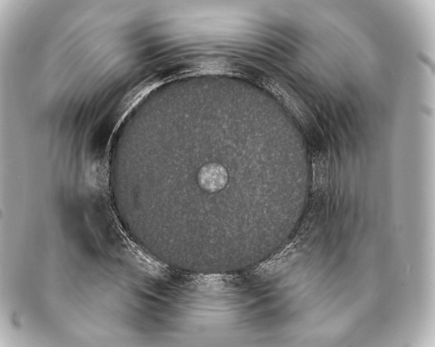 X0000094960828200712201158