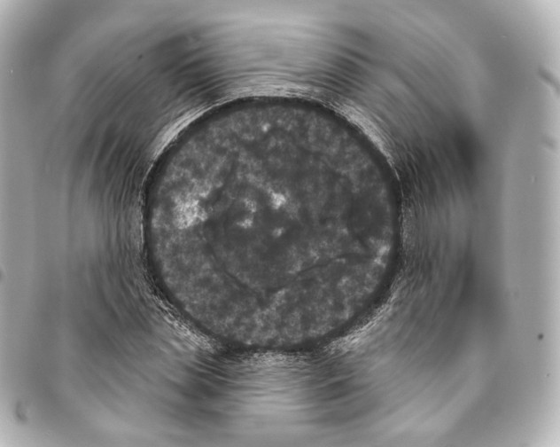 X0000094960829200712201158