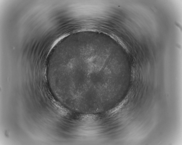 X0000094960830200712201158