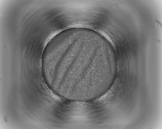 X0000094960831200712201158