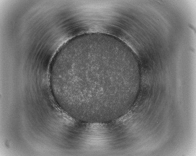 X0000094960832200712201158