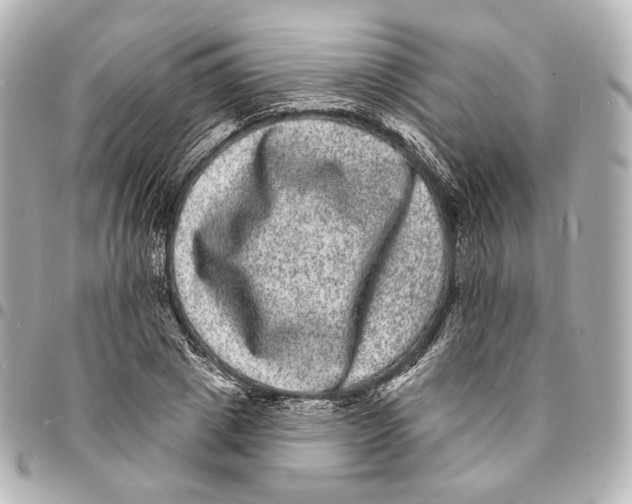 X0000094960833200712201158