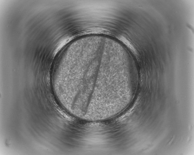 X0000094960834200712201158