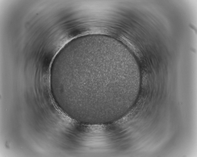 X0000094960836200712201158