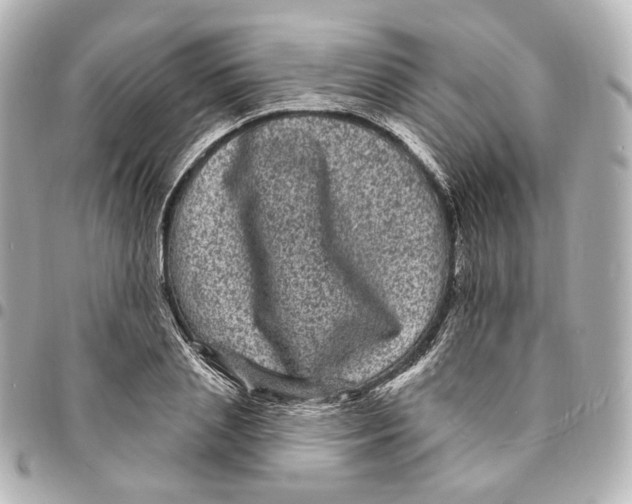 X0000094960837200712201158