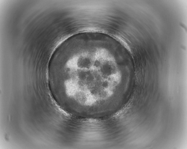 X0000094960839200712201158