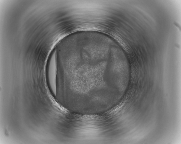 X0000094960840200712201158