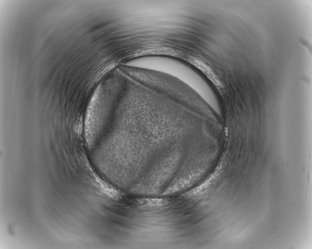 X0000094960841200712201159