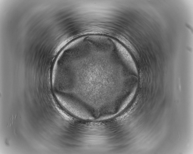 X0000094960842200712201159