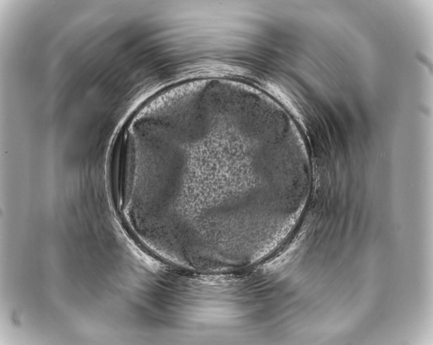 X0000094960843200712201159