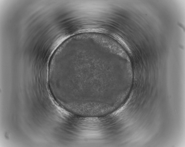 X0000094960844200712201159