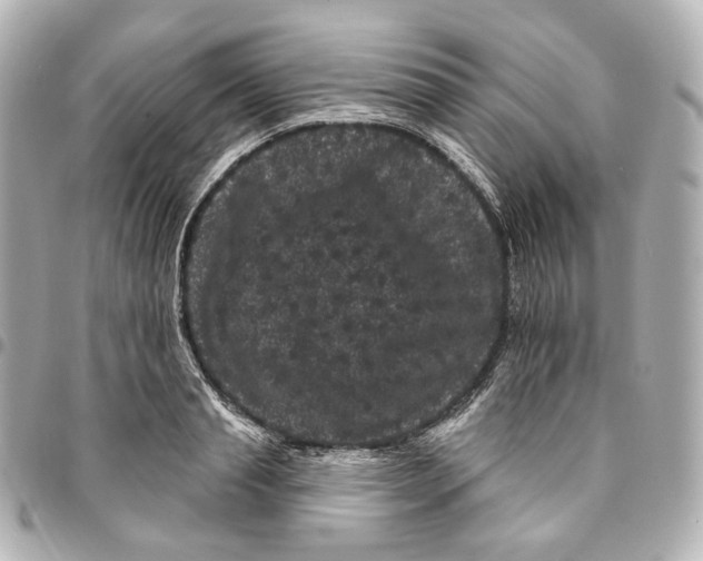 X0000094960845200712201159