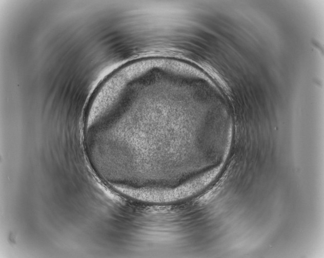 X0000094960846200712201159