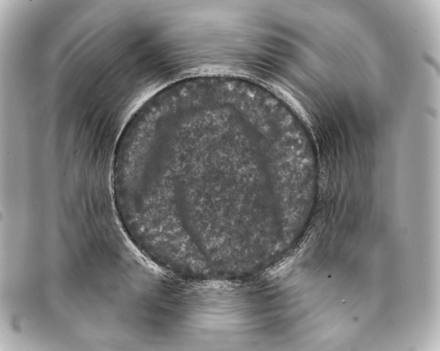 X0000094960847200712201159