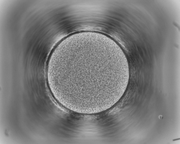 X0000094960848200712201159