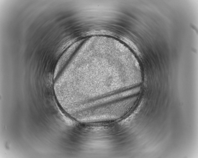 X0000094960849200712201159