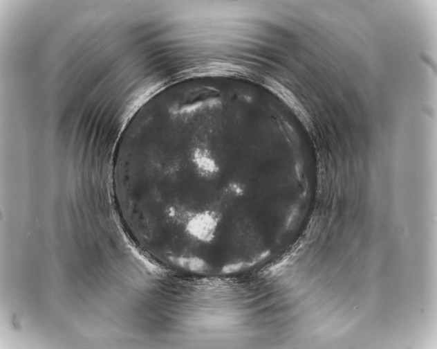 X0000094960850200712201159