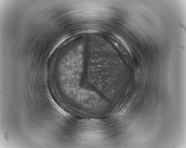 X0000094960851200712201159