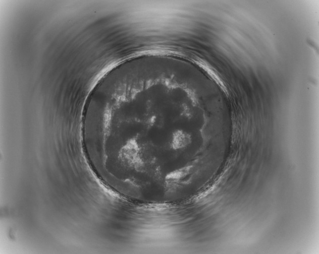 X0000094960853200712201159