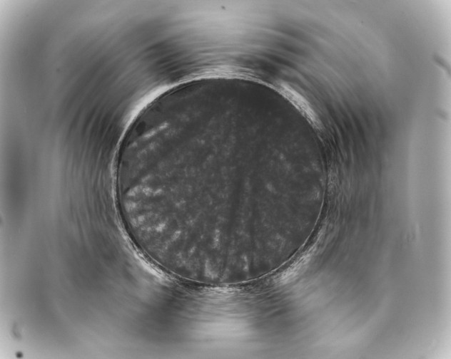 X0000094960854200712201159